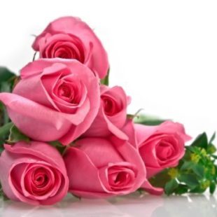 Więcej o: Dzień Babci i Dziadka