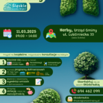 Plakat do na stronę 11.03