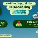 Zrzut ekranu 2026-08-03 120223