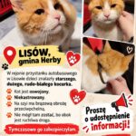 FB_IMG_1791799907557